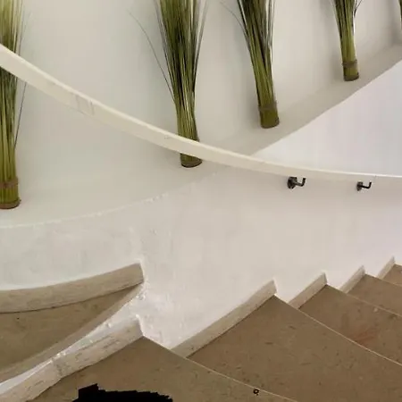 Duplex Old Town - New ! Daire *